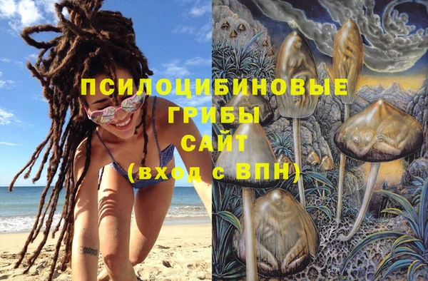 эйфоретик Гвардейск