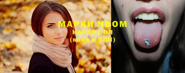 дурь Краснослободск