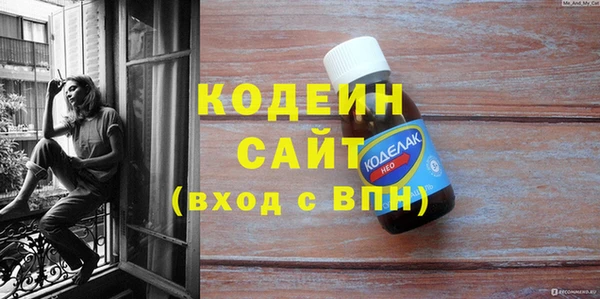 PSILOCYBIN Галич