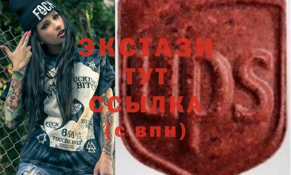 индика Краснотурьинск