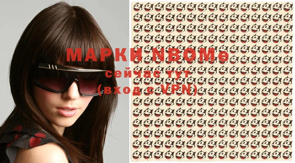 крисы Кулебаки