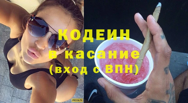 крисы Кулебаки