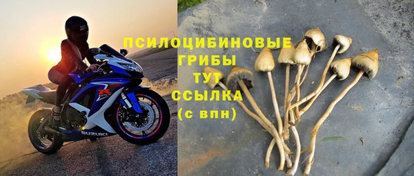 крисы Кулебаки