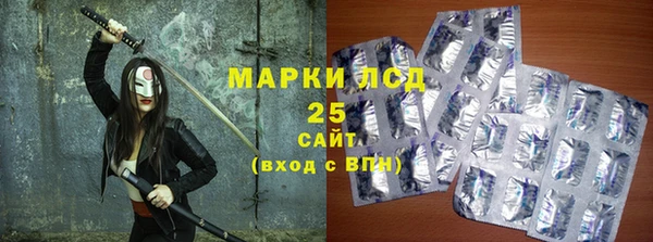 индика Краснотурьинск