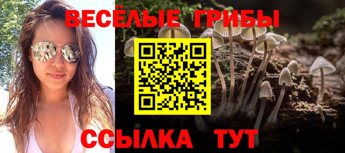 Галлюциногенные грибы Psilocybe Мегион