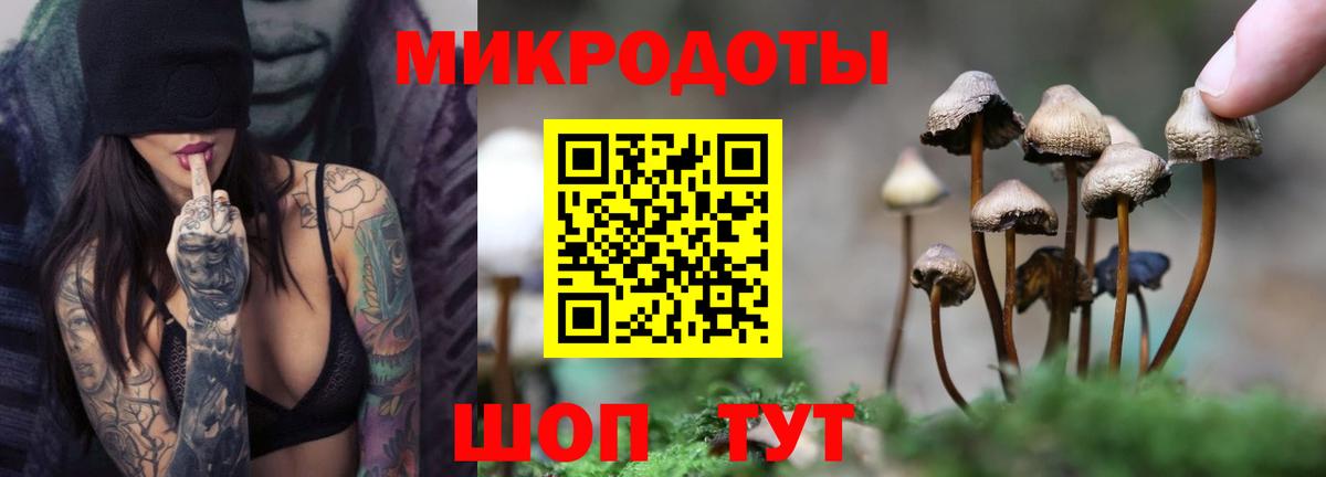 Мегион  Псилоцибиновые грибы Psilocybe  Вход с VPN 